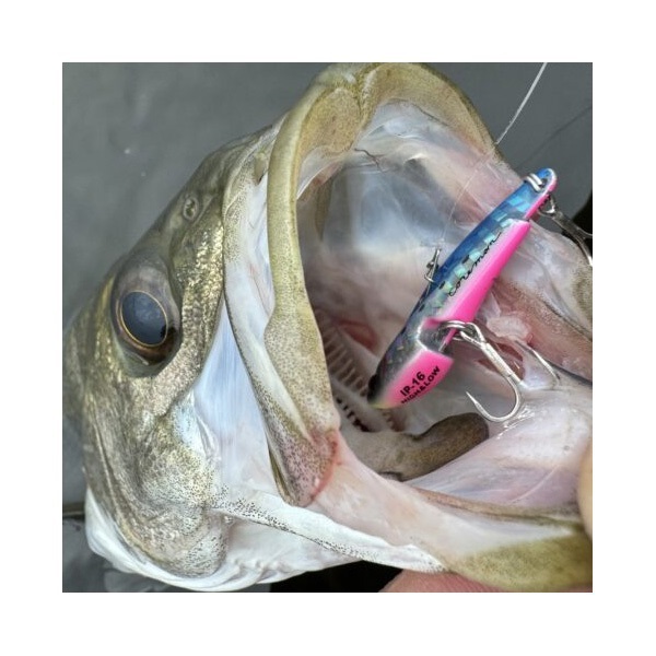 IP-16 アイアンプレートハイアンドロー 16g